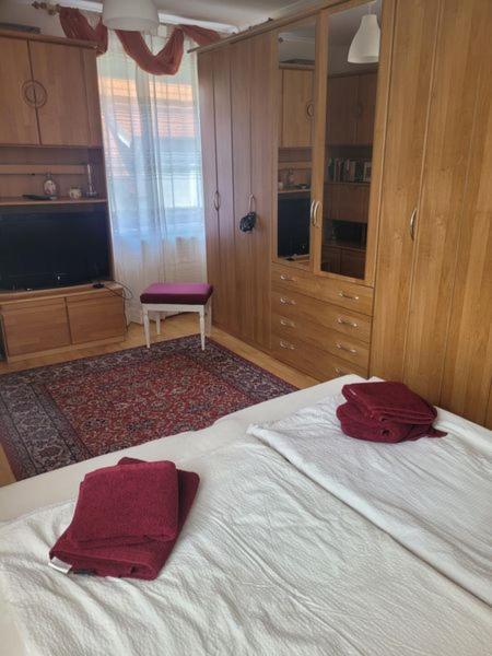 Ferienwohnung Korneuburg Bei Wien -1 Buitenkant foto